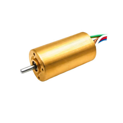 20mm Brushless DC Electric Motor 12V to 36V 13W 20W 18880rpm Customizable Slotless Brushless Motor