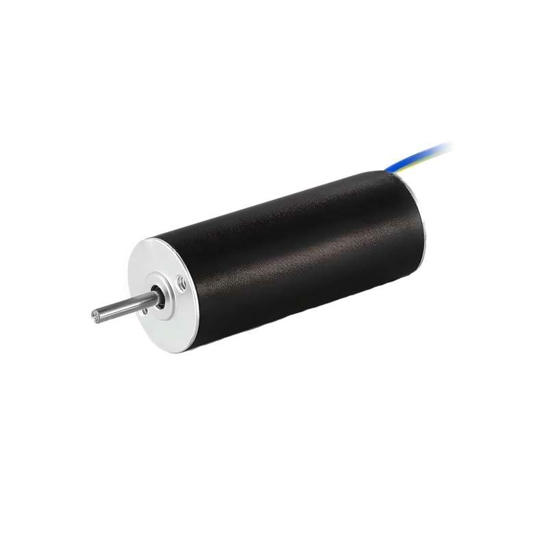 Custom Slotless Brushless Motor 12mm 6.5W 25310rpm Coreless DC Motor For Medical Pumps