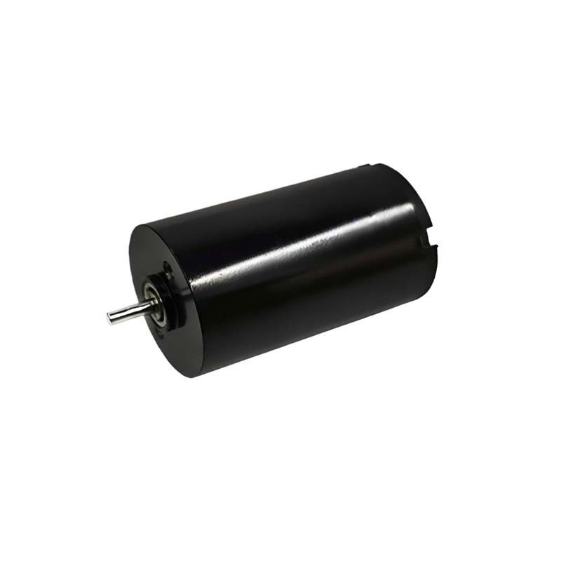 16mm Brushed DC Motor 1.57 Watt 9980rpm Electric Brush DC Motor 24V Customizable