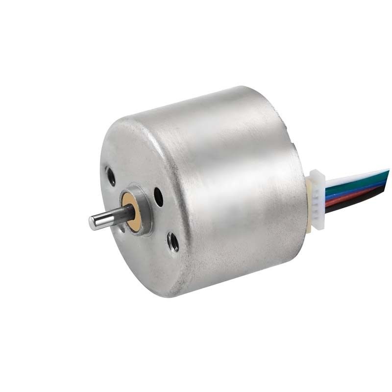 12V 24mm Brushless DC Motor BLDC Motor For Hair Curler And Medical Equipment