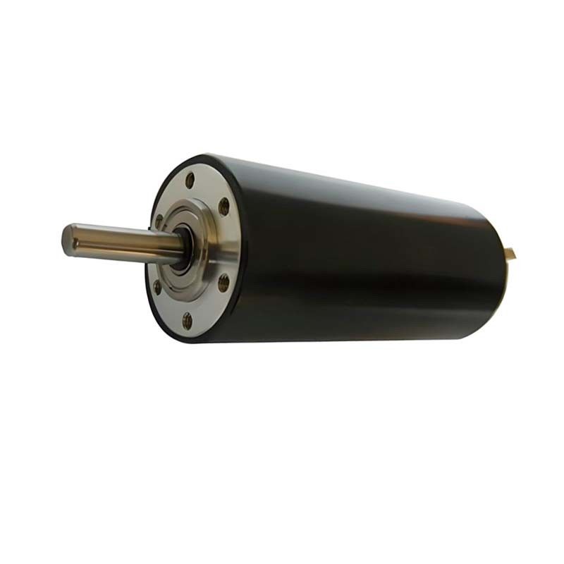 High Precision Brushed DC Motor 73 Watt 7760rpm 30mm 48V Electric DC Motor for Automotive